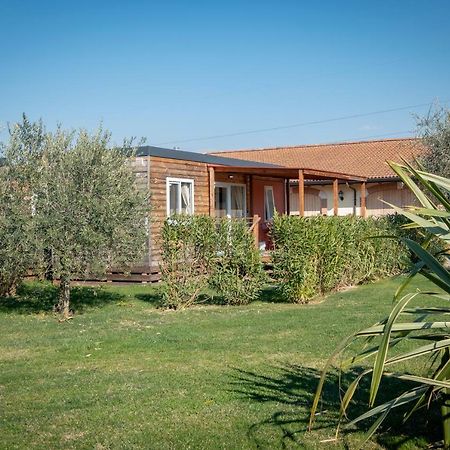 Agriturismo Tre Colline Bardolino Kültér fotó